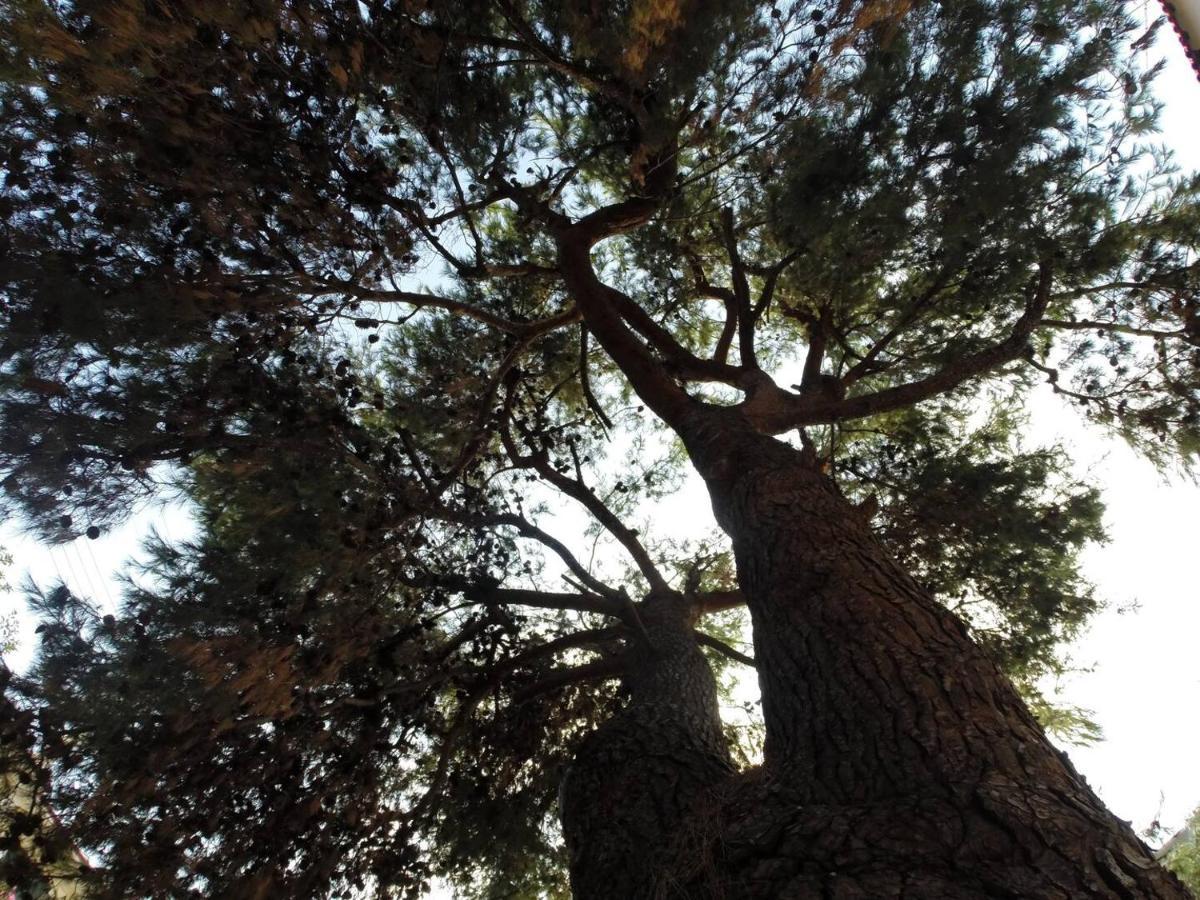 Alterra Vita Neos Marmaras Dış mekan fotoğraf